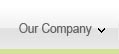 Our Company
