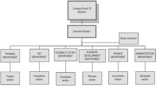 Consultant Organization Chart